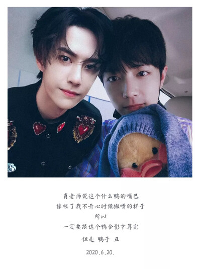 王中王一肖中特一肖精準(zhǔn)預(yù)測(cè)——揭秘生肖運(yùn)勢(shì)與未來展望，揭秘生肖運(yùn)勢(shì)預(yù)測(cè)，王中王一肖精準(zhǔn)預(yù)測(cè)未來展望