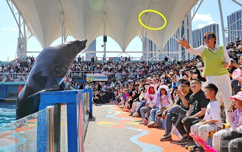 新澳2025今晚開(kāi)獎(jiǎng)結(jié)果揭曉，期待與驚喜并存，新澳2025今晚開(kāi)獎(jiǎng)結(jié)果揭曉，期待與驚喜交織的時(shí)刻