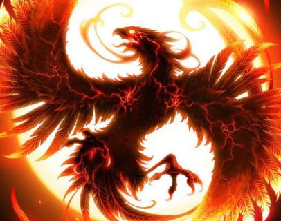 王中王精準一肖中鳳凰，揭秘預測之謎，揭秘王中王精準預測一肖中鳳凰的奧秘