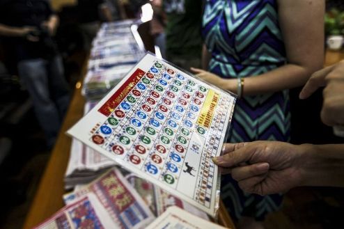 王中王的一肖中特馬——探尋背后的奧秘與魅力，王中王一肖特馬背后的奧秘與魅力探尋