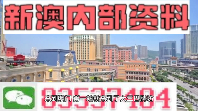 新澳新澳門正版資料，探索與解析，新澳新澳門正版資料深度解析與探索