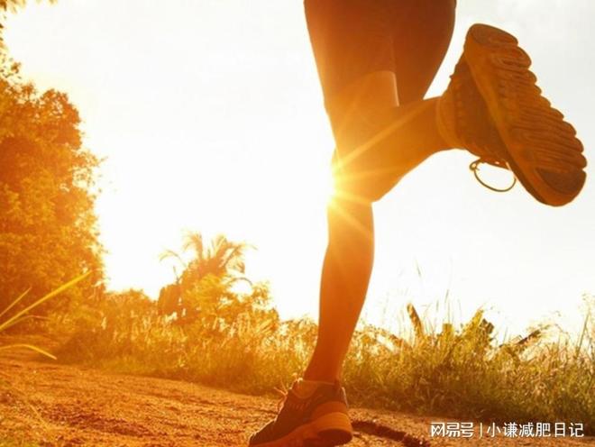 懶人福音！揭秘適合懶人的減肥秘訣，懶人福音，揭秘輕松減肥秘訣！