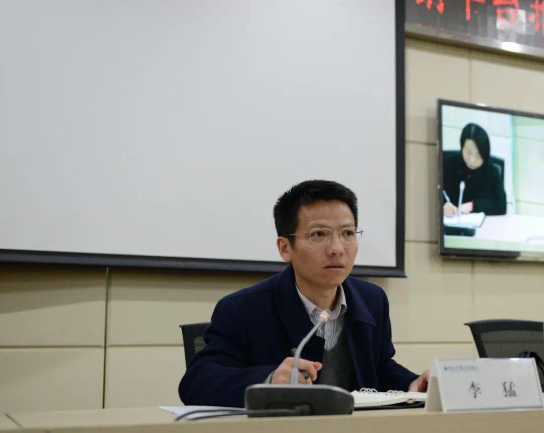 正版王中王一肖平碼圖——深度解析與探索，正版王中王一肖平碼圖深度探索與解析