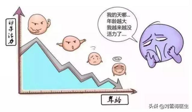 性激素六項(xiàng)正常值及其重要性，性激素六項(xiàng)正常值詳解，了解其對(duì)健康的重要性