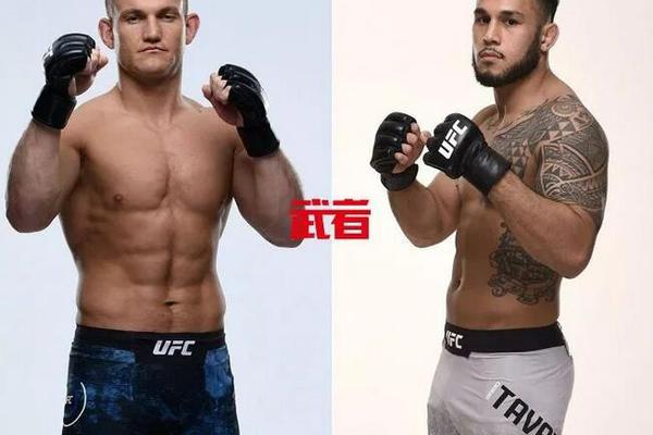 澳門六開獎結果記錄圖，探索彩票背后的秘密，澳門六開獎結果記錄圖揭秘彩票背后的秘密