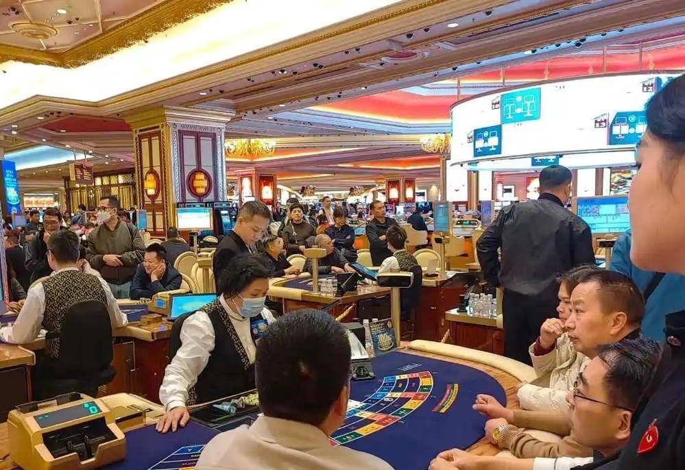 澳門六合彩開獎結(jié)果今天，揭秘彩票背后的秘密，澳門六合彩開獎揭秘，今天的結(jié)果與彩票背后的秘密