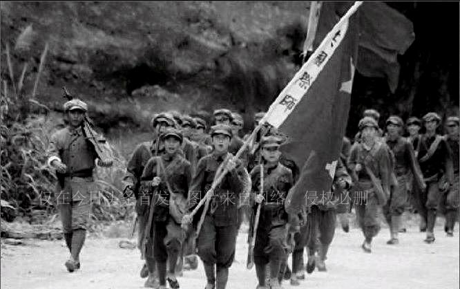 關(guān)于肖碼的探討，一種獨特的數(shù)字文化現(xiàn)象，肖碼，獨特的數(shù)字文化現(xiàn)象探討