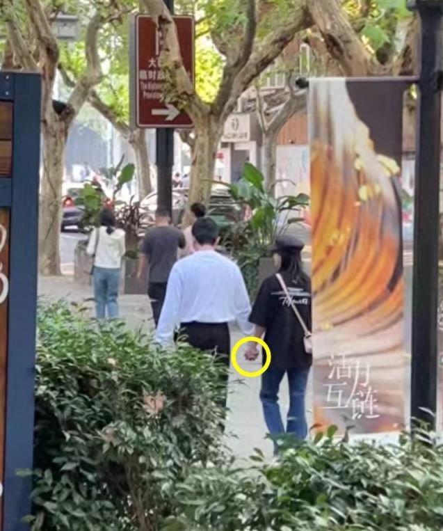 鮑蕾個(gè)人資料圖片，深度解析與探索，鮑蕾個(gè)人資料圖片，深度探究與揭秘